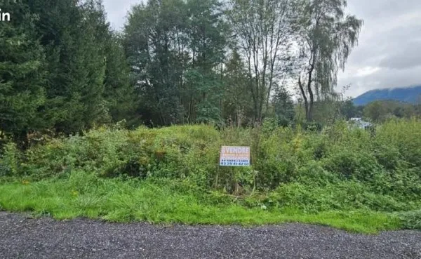 Terrain 9300 m² RAON L ETAPE