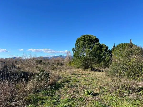 Terrain - 480