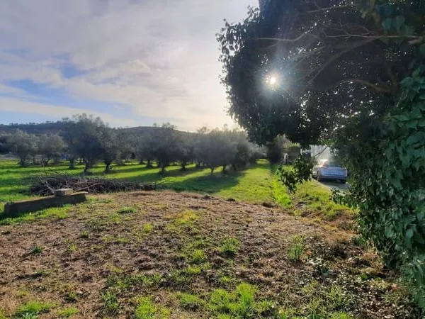 A VENDRE - TERRAIN à BATIR - QUISSAC