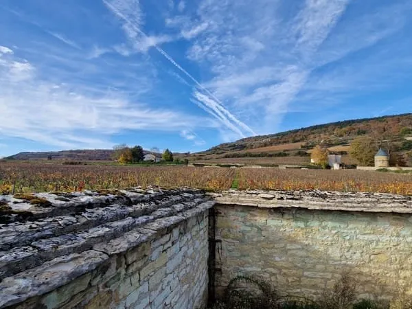 Environnement exclusif tourné sur les vignes