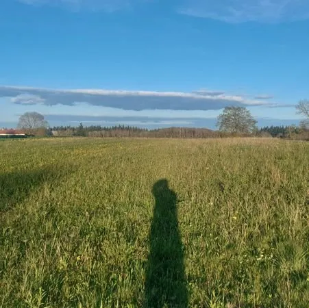 Vends terrain à bâtir proche Saint Eloy-les-Mines (63700)
