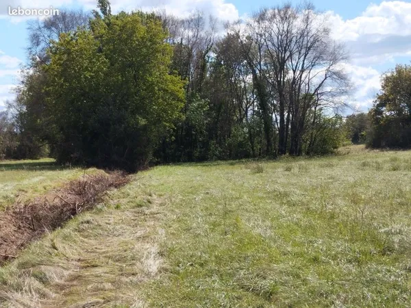 Terrain boisé de 1960 m2 dans le Lot
