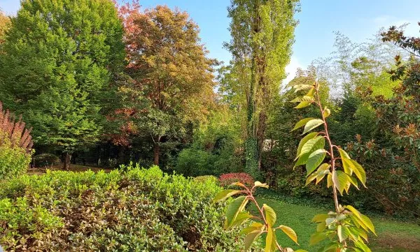 Vends appartement