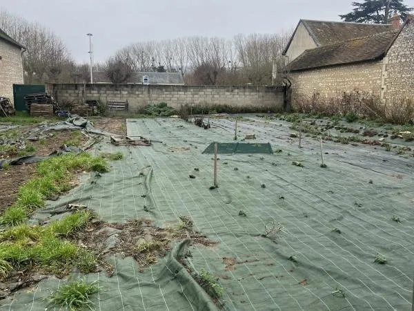 Terrain en individuel 543 m²