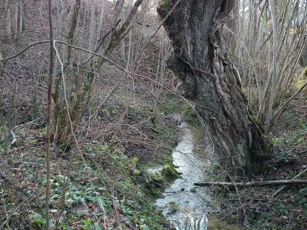 Terrain agricole