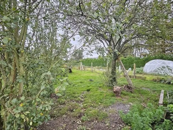 Terrain 704 m²