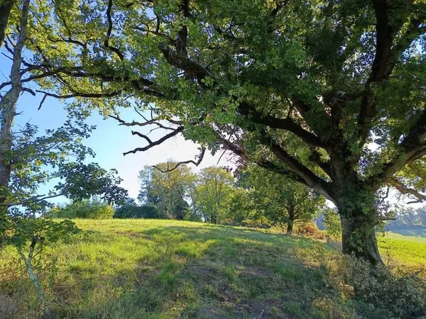 Terrain agricole