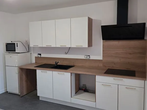 Agréable T1 entièrement rénové