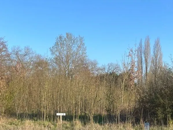 Terrain agricole pour potager, loisirs et détente