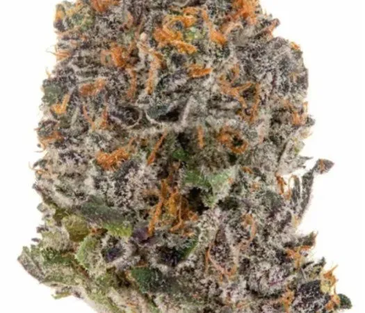 E-commerce CBD bio