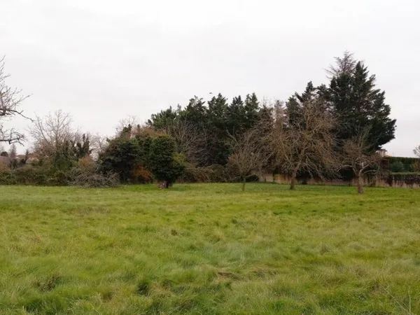 Terrain GENAY le haut