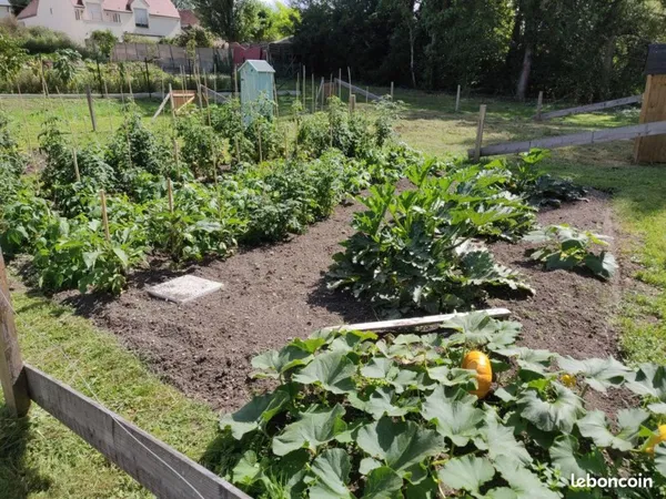 Potager 100m2 Meung sur Loire