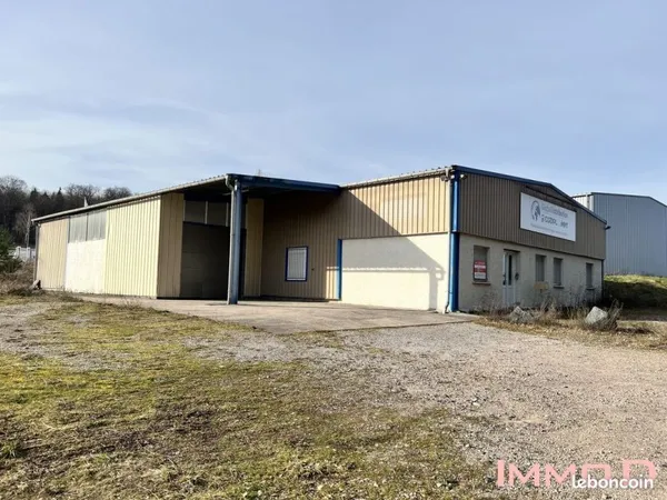 Local 165 m² Thaon-les-Vosges