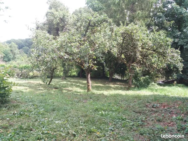 Terrain Vente Origny-en-Thiérache  800m² 50€