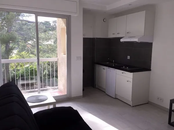 Appartement 1 pièce 19 m²
