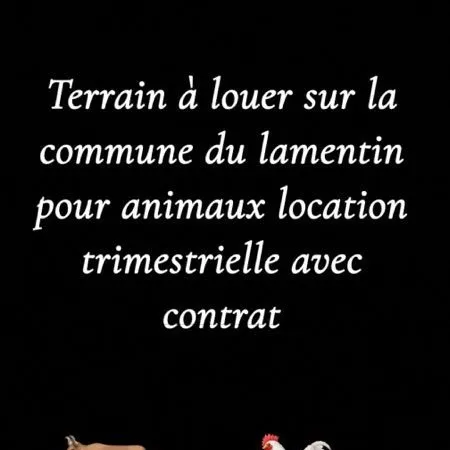 Terrain à louer