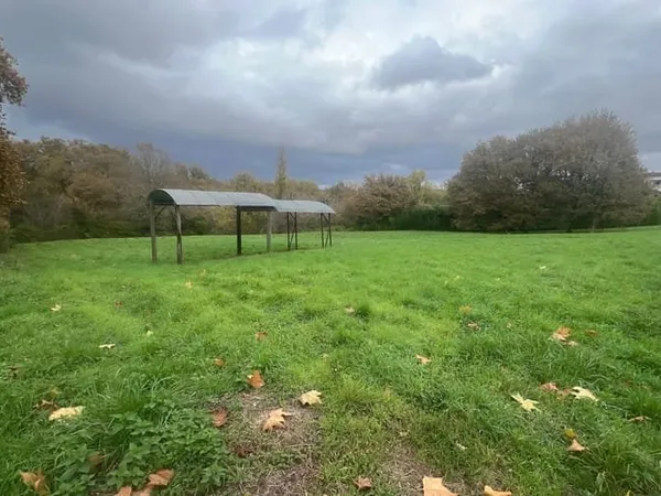 Terrain 10000 m²