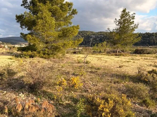 Terrain de loisirs