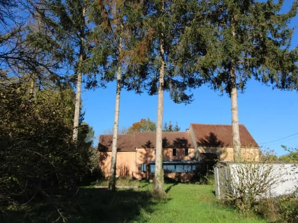 58, à 10mns de Donzy et 7mns de Entrains - Maison de Campagne au calme sur 2344m2 de terrain arboré.