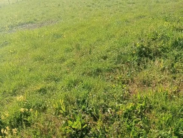 Terrain 1200 m