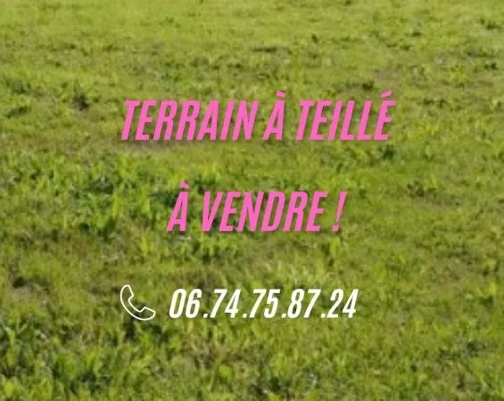 Terrain en individuel 313 m²