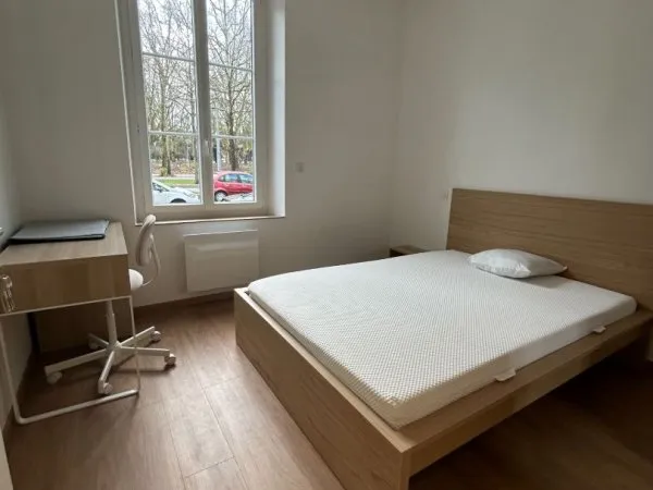 APPARTEMENT - 2 ch - 42 m2 - entierement renove - hyper centre