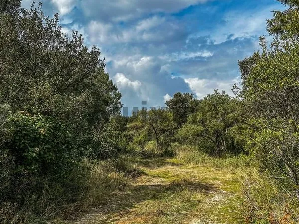 Beau terrain de loisirs !