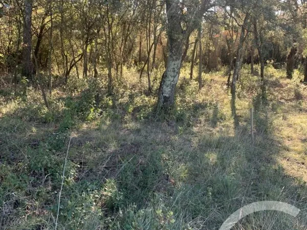 Terrain 1430 m²