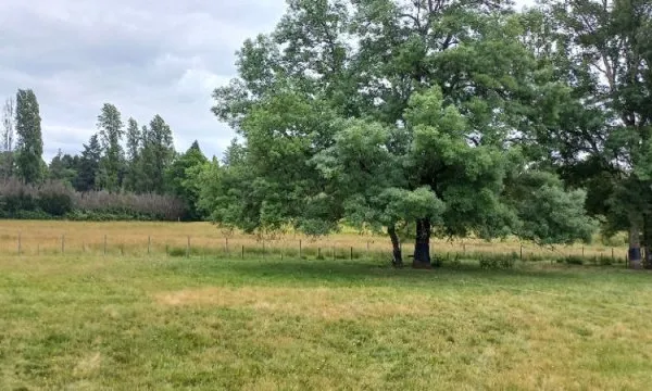 Terrain 1200 m²