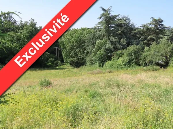 Terrain 1989 m²