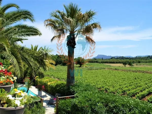 Gites - Chambres d'hôtes à vendre avec piscine au coeur des Vignes
