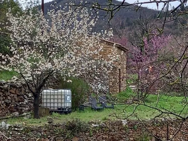 Terrain de loisirs avec petit mazet