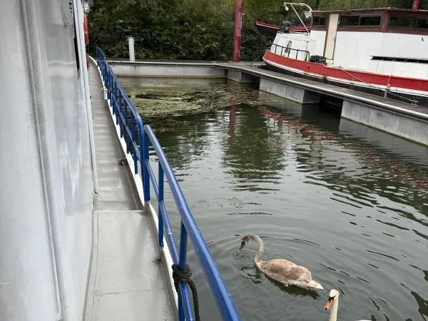 Péniche 5 pièces 80 m²