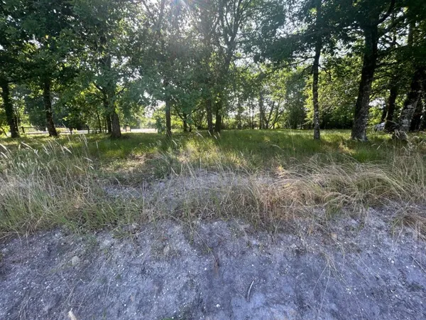 Terrain à vendre - Belhade (40410)