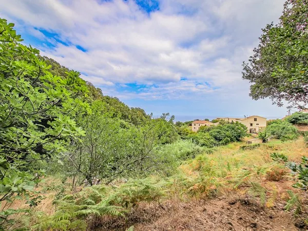 Terrain 1172 m²