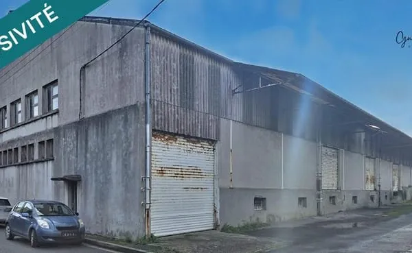 Grand entrepôt polyvalent à vendre - Saint-Pol-de-Léon