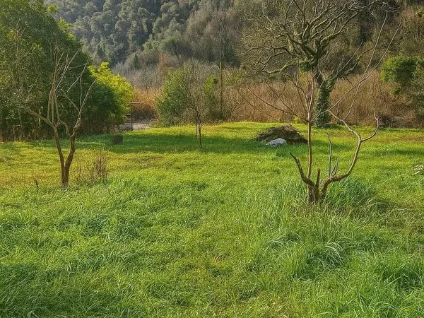 Terrain à bâtir Vente Tourrette-Levens  963m² 190000€