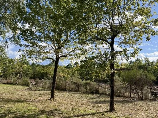 Magnifique terrain de 1200 m2 au centre ville de Grayan