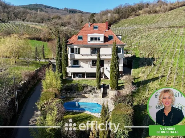 Maison 12 pièces 383 m²