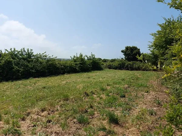 Terrain 725 m²