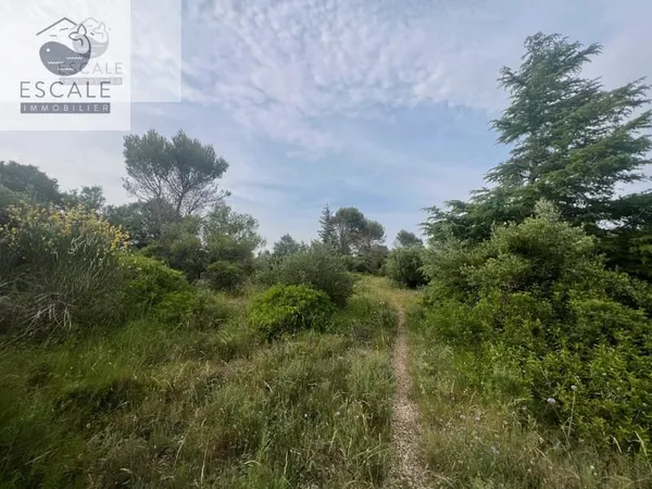 VENTE TERRAIN AGRICOLE A PIGNAN