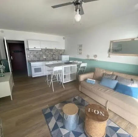 Appartement 1 pièce 29 m²