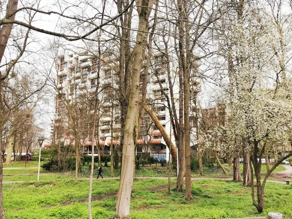 Appartement 2 pièces 51 m²