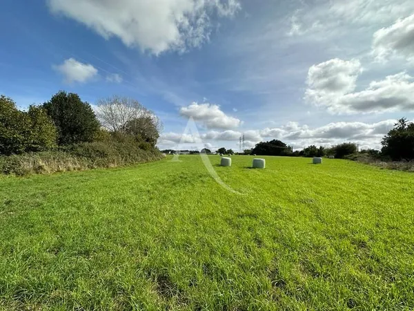 Terrain 5349 m²