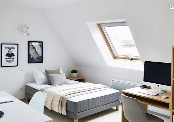 Studio 23,2M2 (30m2 au sol) - Centre Strabourg - Dernier Etage -Lumineux
