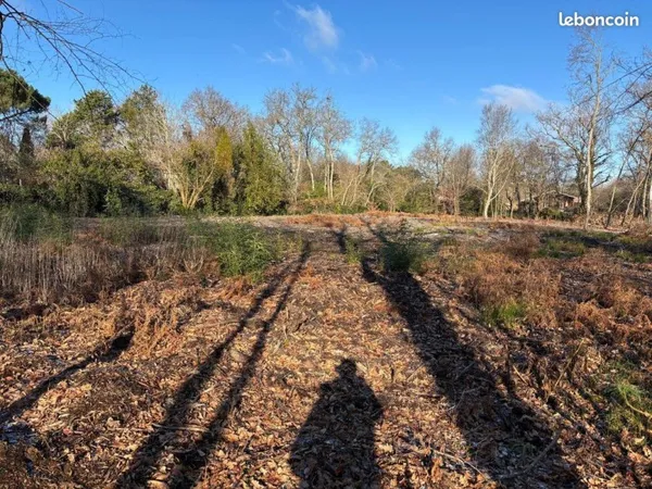 Terrain 5238 m² Blanquefort