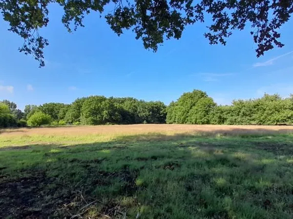SAINT VIVIEN - TERRAIN MIXTE 8100 m2