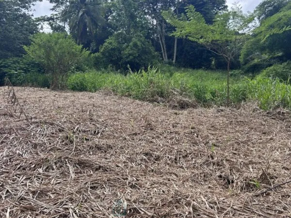 Terrain constructible 1089 m²