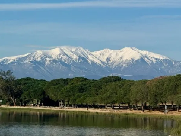 Terrain 570 m²