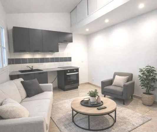 Appartement 1 pièce 20 m²